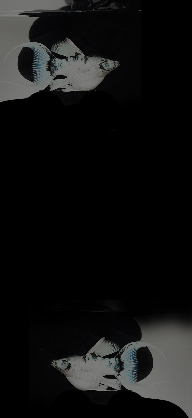 세션2 배경 사진